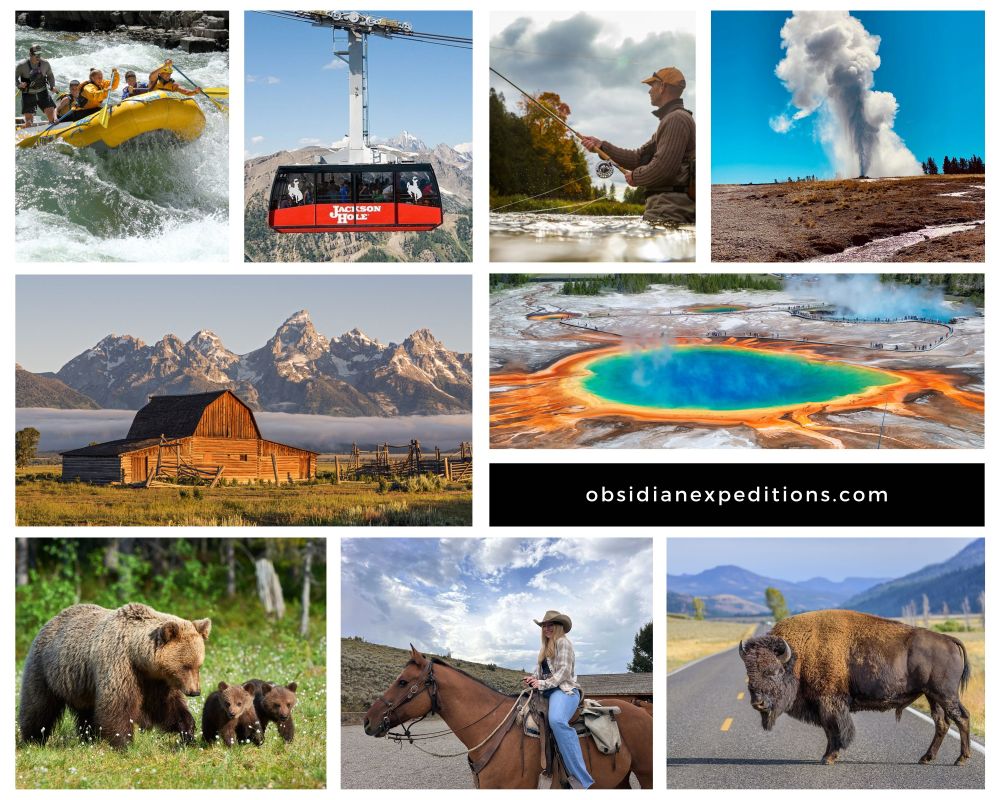 Collage of outdoor activities and wildlife in nature, including rafting, hiking, fishing, and a bison.