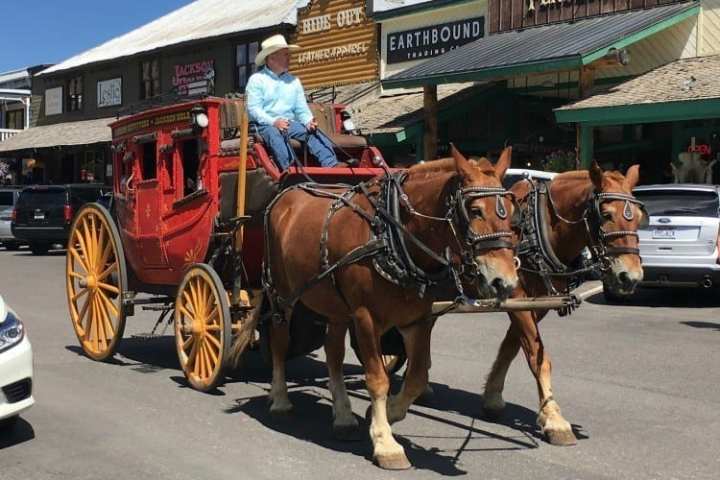 Carriage ride in Jackson Hole