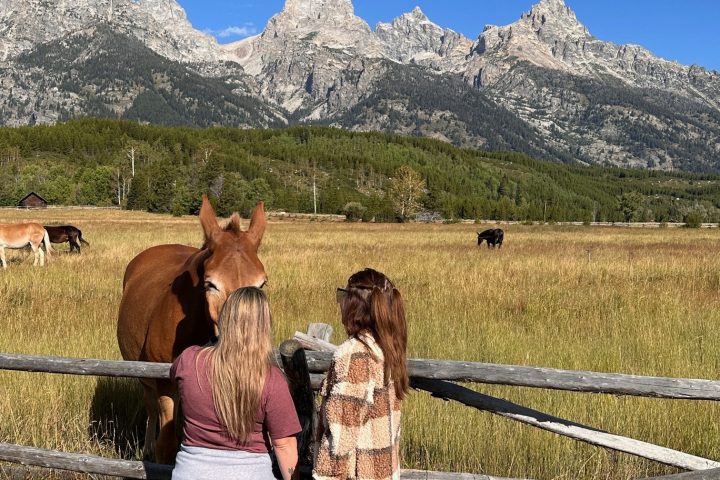Taggart Lake Trailhead Overlook