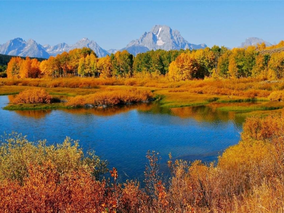 a body of water surrounded by trees