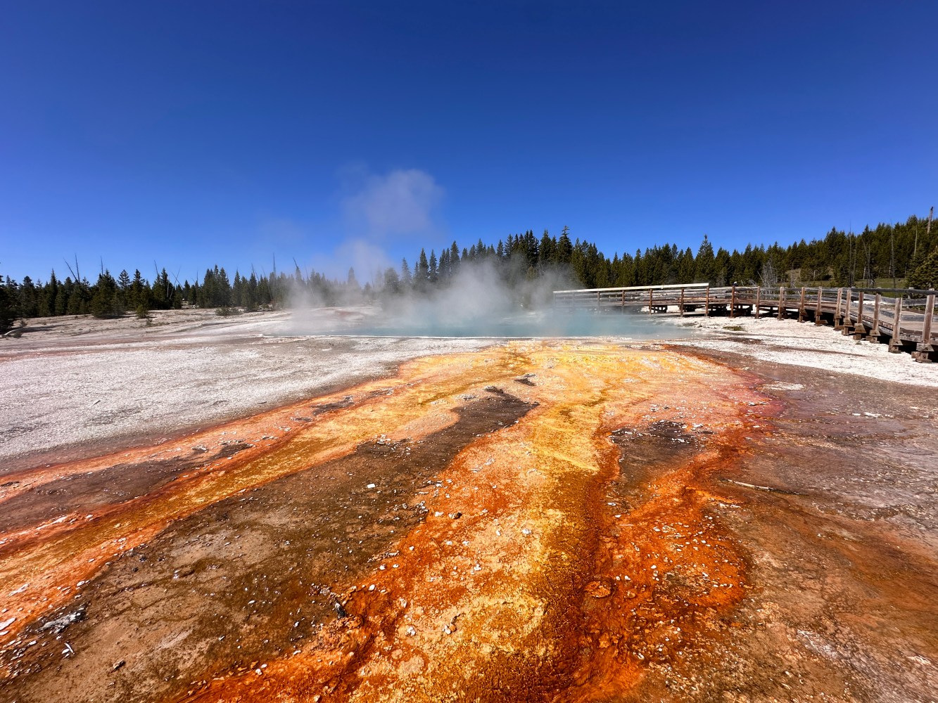 a snow covered field