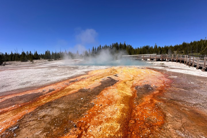 a snow covered field