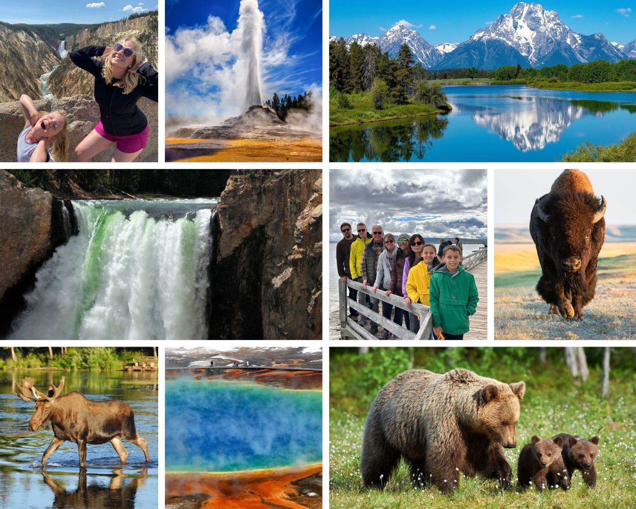 Collage of Yellowstone scenes: geyser, waterfalls, mountains, bison, moose, bear with cubs, and tourists.