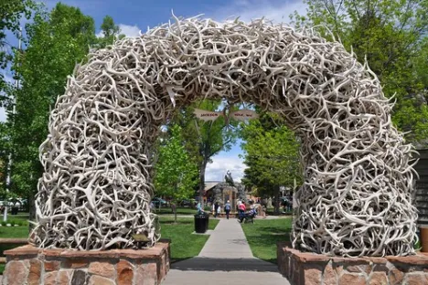 Elk Antler Arch in Jackson