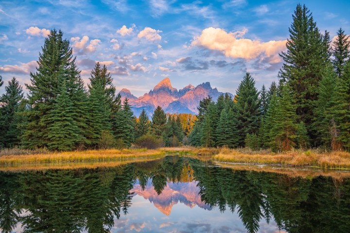a body of water surrounded by trees