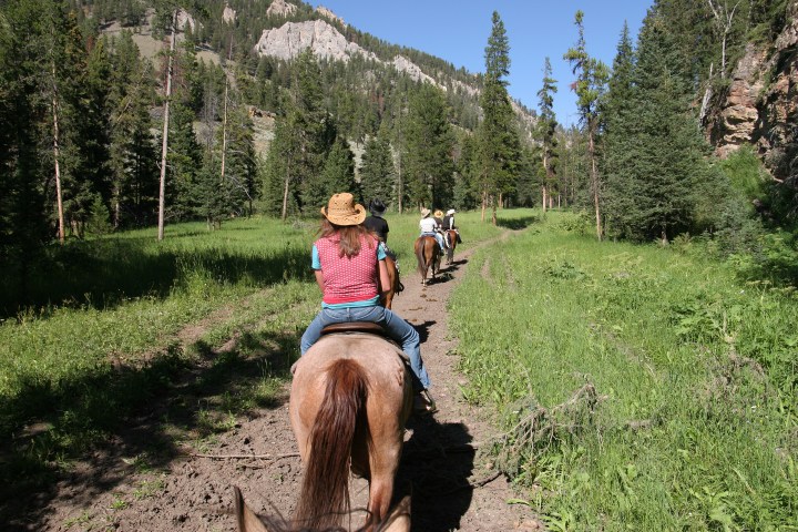 People horseback riding on a forest trail surrounded by trees and mountains.