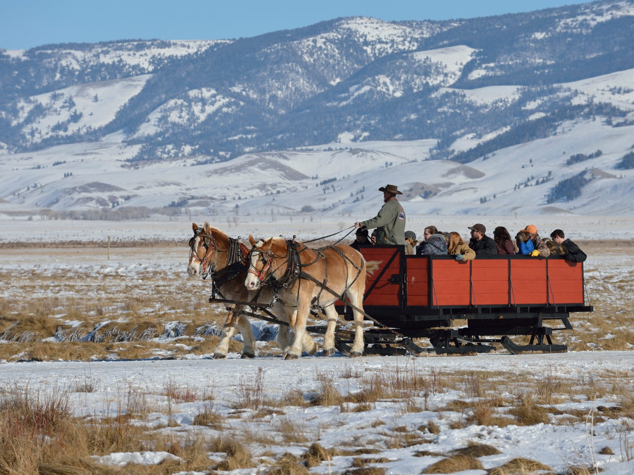 Sleigh Ride at National Elk Refuge