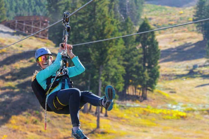 a person riding a horse