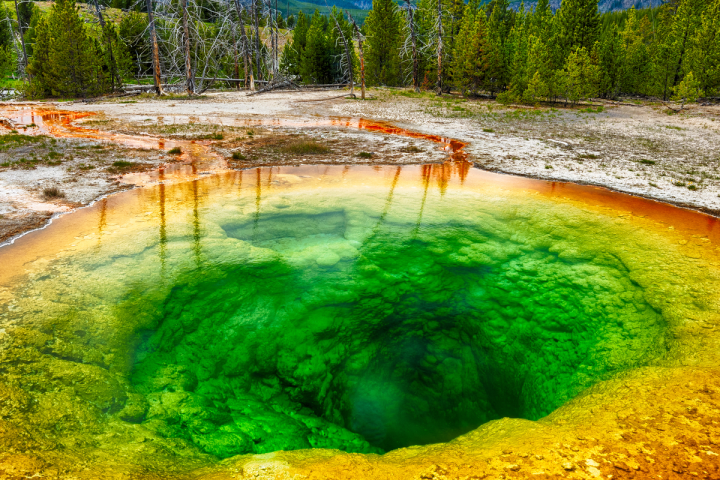 Morning Glory Pool