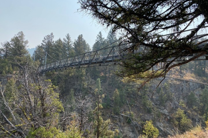 Hellroaring Creek Suspension Bridge