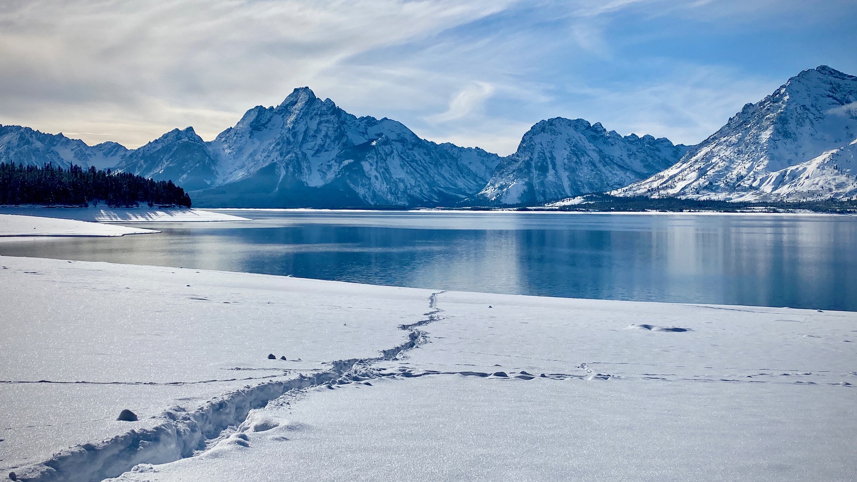 View of Mt. Moran at Colter Bay