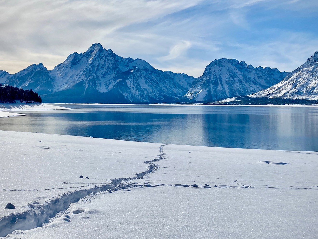 View of Mt. Moran at Colter Bay