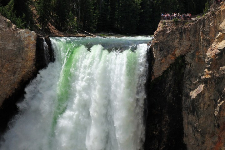 Lower Falls of Yellowstone