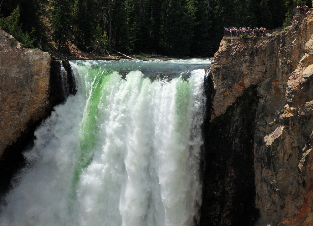 Lower Falls of Yellowstone