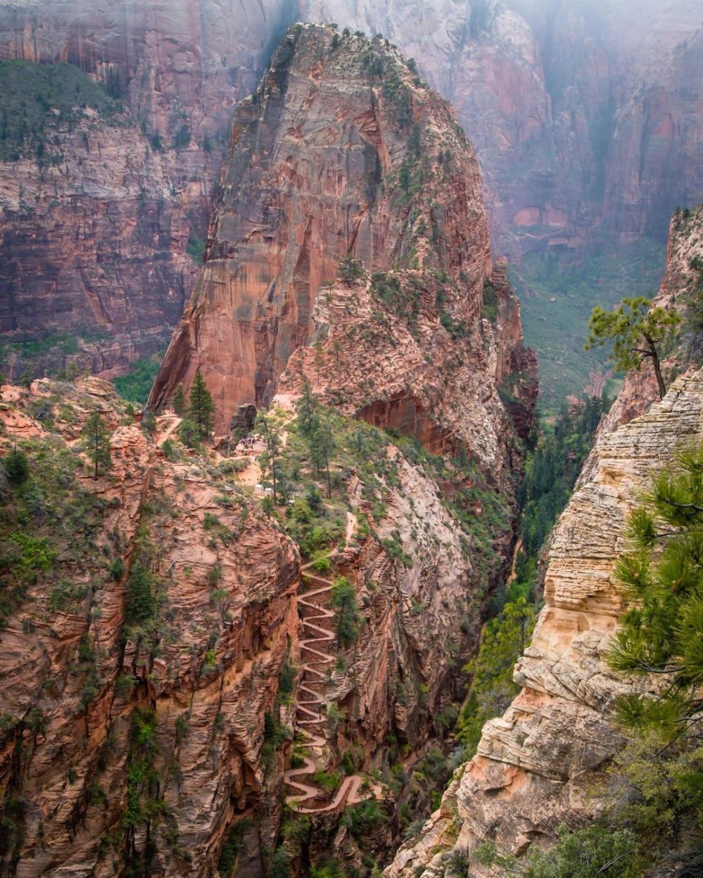 Steep canyon with switchback trail, surrounded by red rock cliffs and sparse trees.