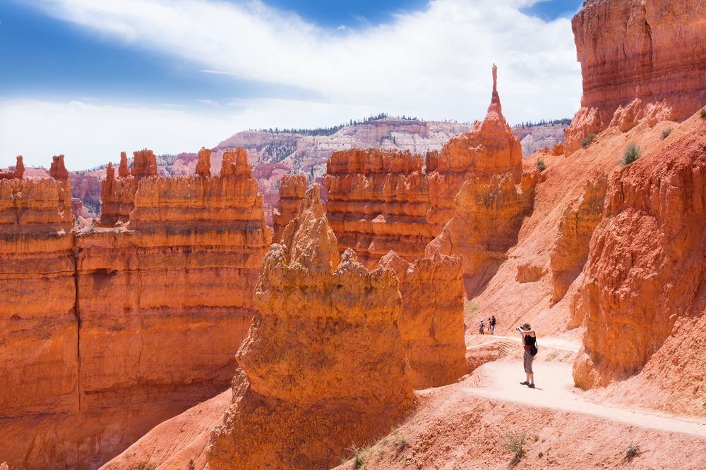 a canyon with Bryce Canyon National Park in the background