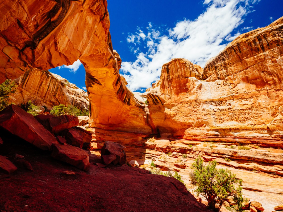 a canyon with a mountain in the background
