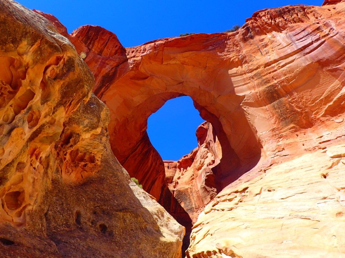 a canyon with a mountain in the background