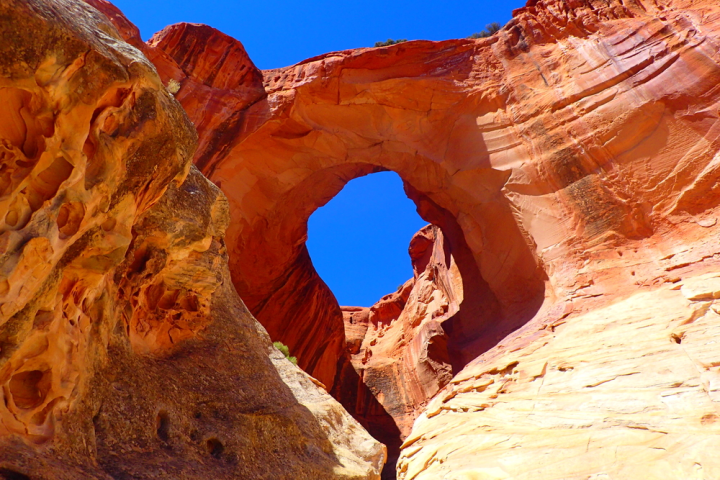 a canyon with a mountain in the background
