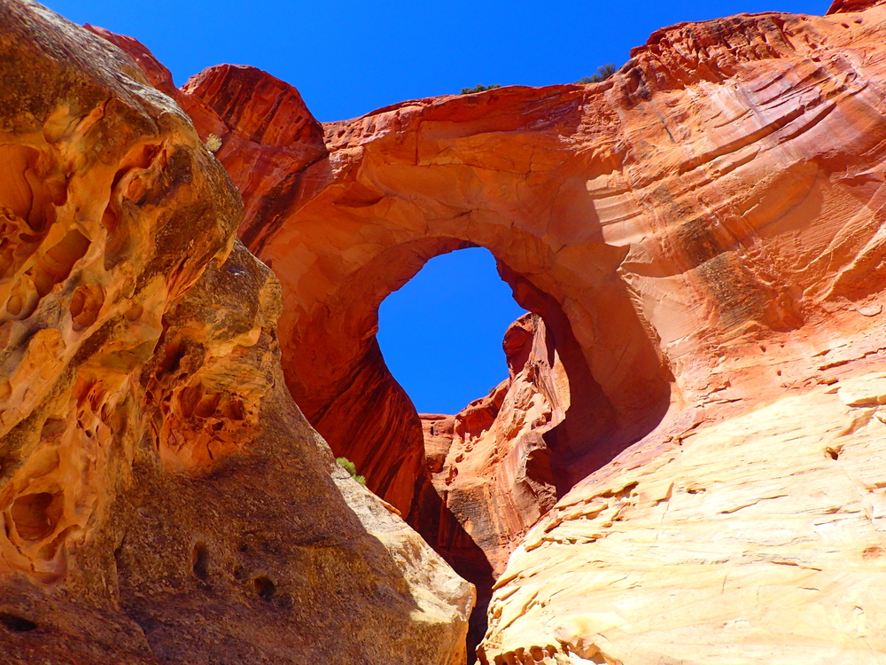 a canyon with a mountain in the background