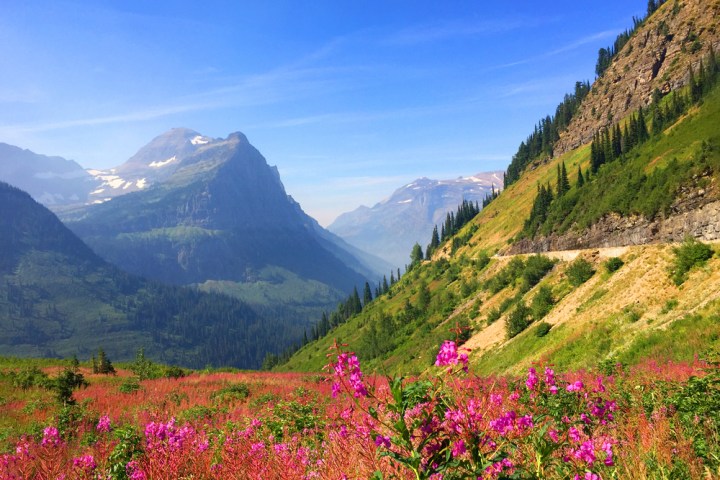 a view of a large mountain in the background