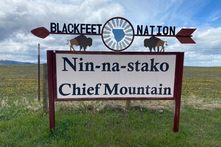 a close up of a sign