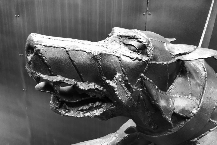 Close-up of a metal sculpture depicting a dog's head with visible welds.