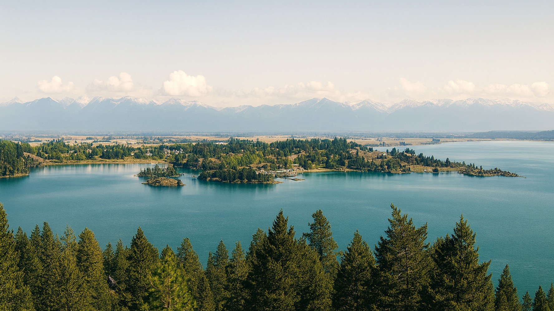 Scenic view of a lake surrounded by forests and distant mountains under a clear sky.